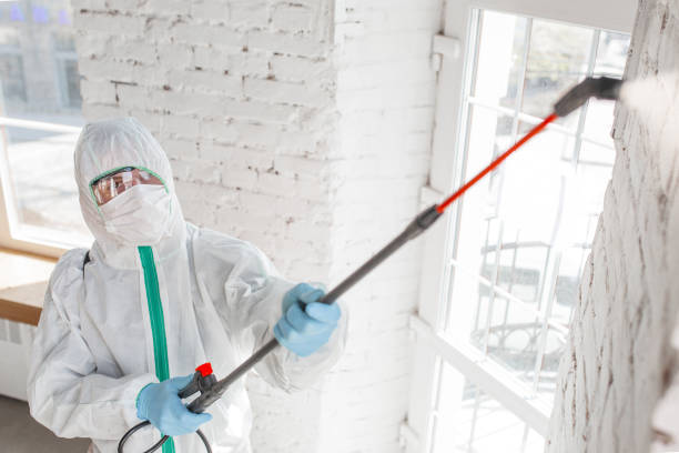 Best Asbestos and Lead Testing During Mold Inspection  in Lennox, CA
