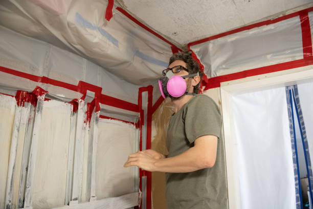 Best Emergency Mold Remediation  in Lennox, CA