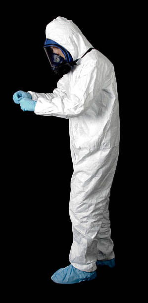 Best Attic Mold Removal  in Lennox, CA