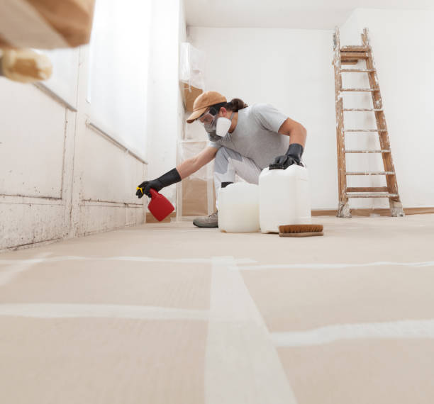 Best Mold Odor Removal Services  in Lennox, CA